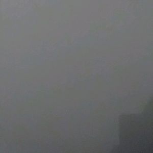 Meet your Posher, Joey